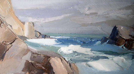 moving surf among the cove rocks